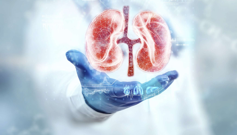 Department Of Andrology