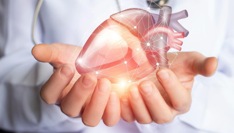 Cardiology