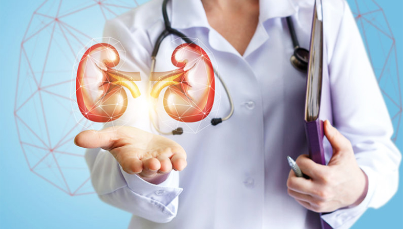 Nephrology