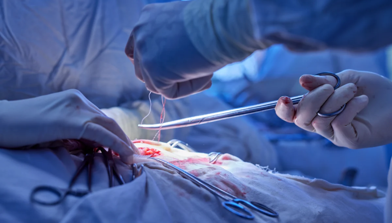 Department Of Vascular and Endovascular Surgery